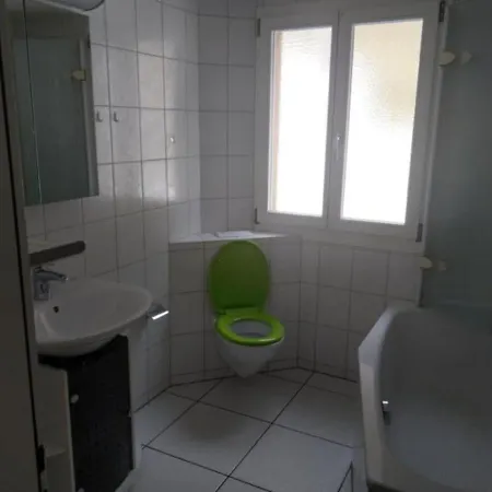 Emmecottage Trubschachen