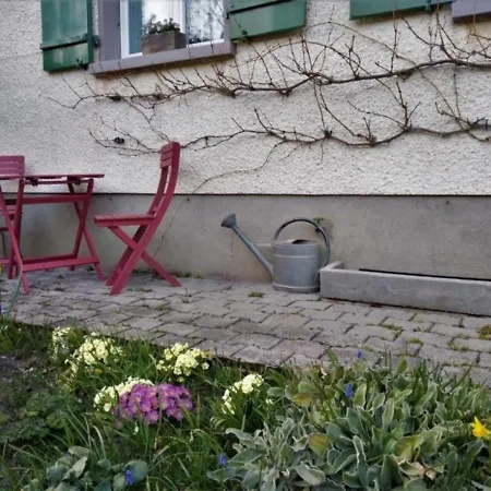 Emmecottage Vakantiehuis *